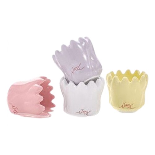 잔스 튤립 괄사