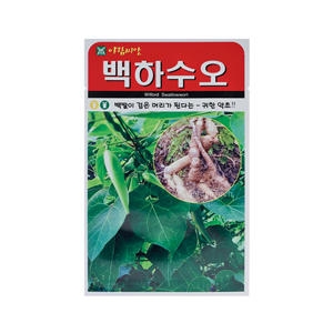 백하수오씨앗 100립