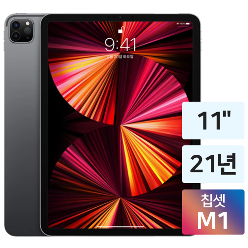 APPLE 2021 iPad Pro 11 3세대 (512GB)