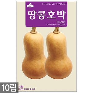 보람농자재 땅콩호박씨앗 땅콩호박 버터넛호박씨앗 호박씨앗 씨앗_이미지