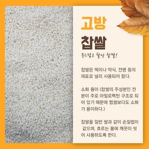  진솔그레인 2020 찹쌀 3kg [1개] 상품이미지