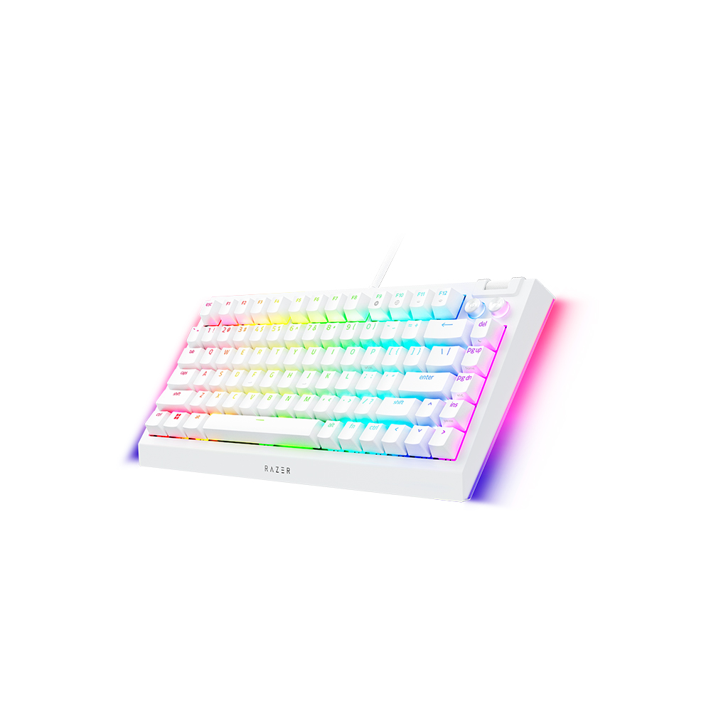 Razer BlackWidow V4 75% ���� ȭ��Ʈ