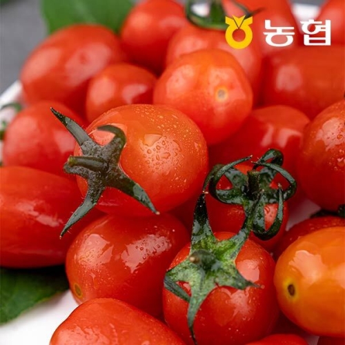 자연맛남 농협선별 부여 대추방울토마토 2kg 1-3번 굿뜨래이미지입니다. 누르면 해당 게시물로 새창이동합니다.