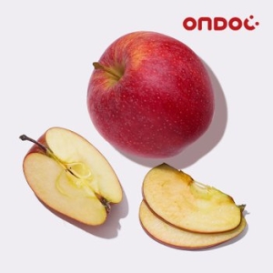 영주 고당도 꿀사과 실속 6~10과 2kg