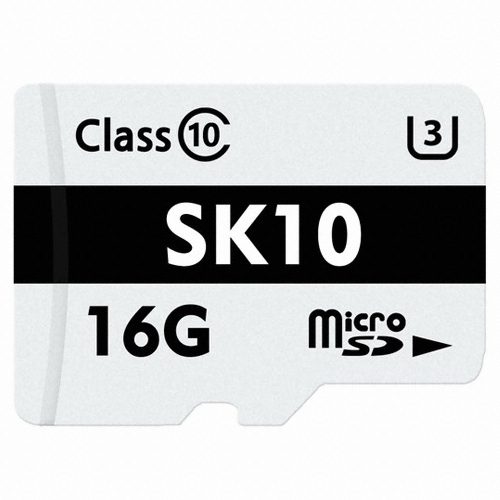 micro SD SK10
