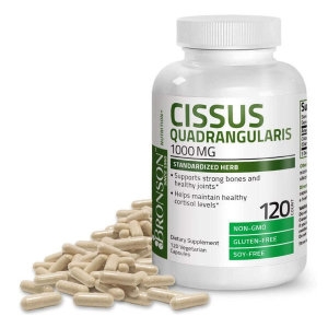 고농축 시서스 분말 120캡슐 시저스 가루