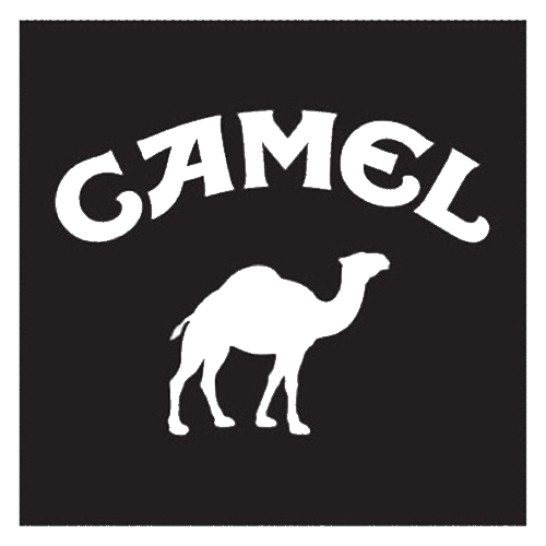 티커벨 카멜 2 로고 캠핑 데칼스티커 TKCAMP-03_이미지