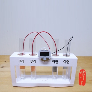 과학쌤이오  다니엘 전지 원리 염다리 실험키트 5인