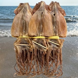 국산 마른오징어 10마리 중 / 건오징어 말린오징어