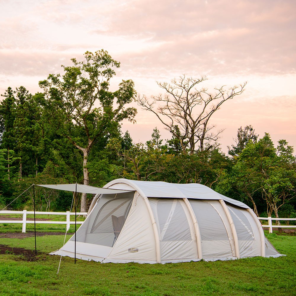 제드코리아 티맥스 에어텐트 샴페인골드
