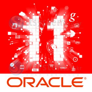 Oracle Database Standard Edition ONE 11g for Unix (50User)_이미지