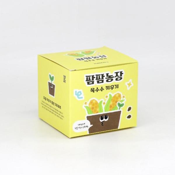 옥수수 모종 화분 식물 키우기 교육자료 유치원 어린이집 체험 미니텃밭 S46834214