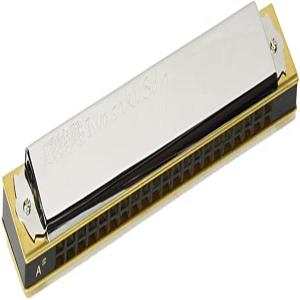 톰보 하모니카 초특급 이와사키솔로 21홀 1921S-A이미지입니다. 누르면 해당 게시물로 새창이동합니다.