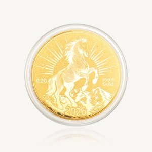 수앤진골드 말 코인 골드바 0.2g