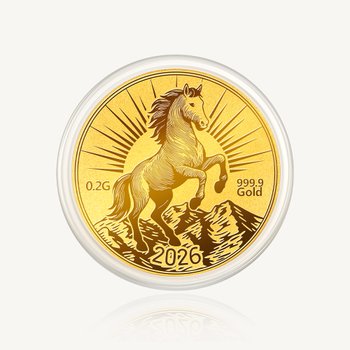 수앤진골드 말 코인 골드바 0.2g (1개)_이미지