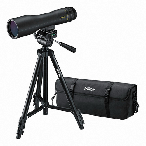 ���� ���ν�����3 16-48x60