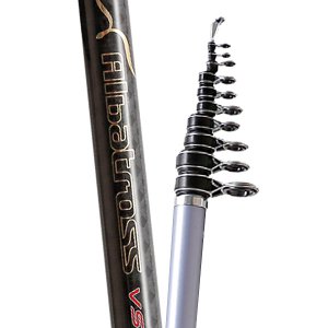 NS 알바트로스 VS