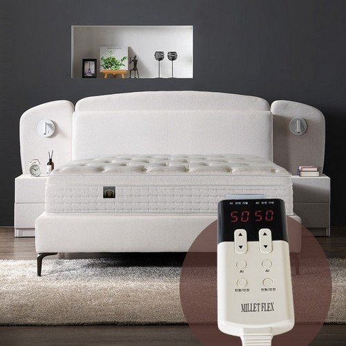 ���͵��� ȣ�ڶ��� ħ�� Q+������Ź2��