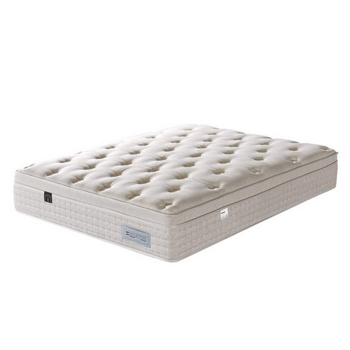 ���͵��� ȣ�ڶ��� ħ�� Q+������Ź2��