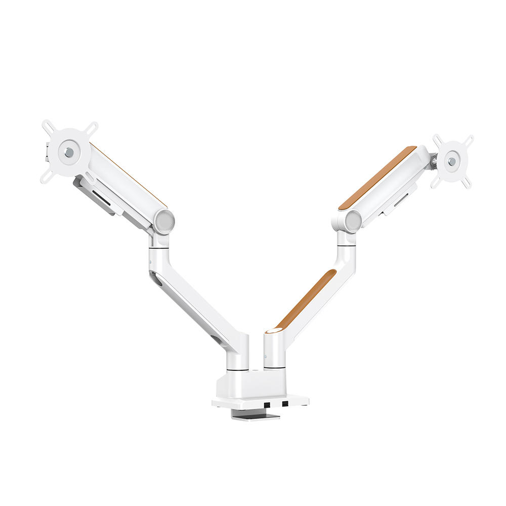 카멜인터내셔널 카멜마운트 고든 디자인 모니터암 듀얼 GDA1D_이미지