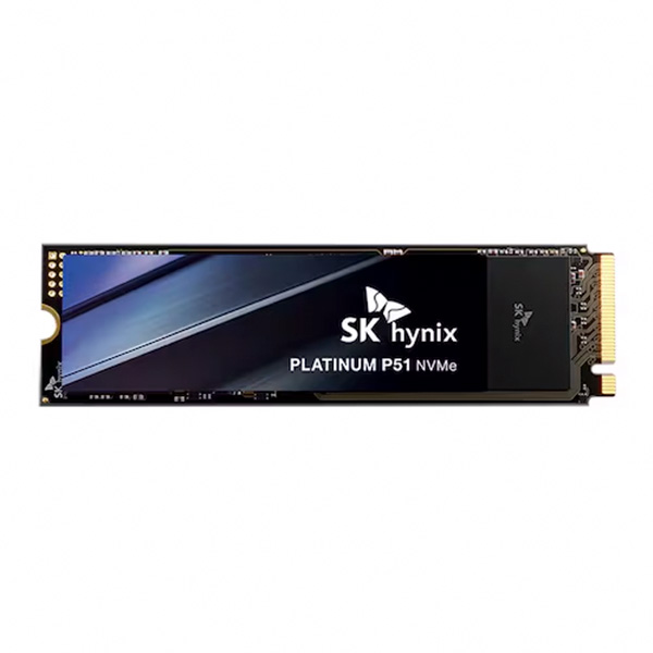 SK���̴н� Platinum P51 M.2 NVMe �������