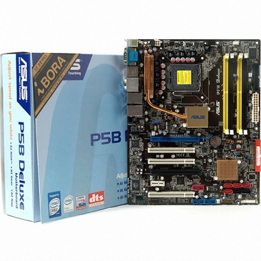 P5B Deluxe 아이보라