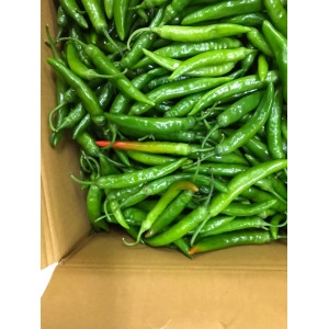 바르다야채 맛있게매운 국내산 청양고추 상 1kg_이미지