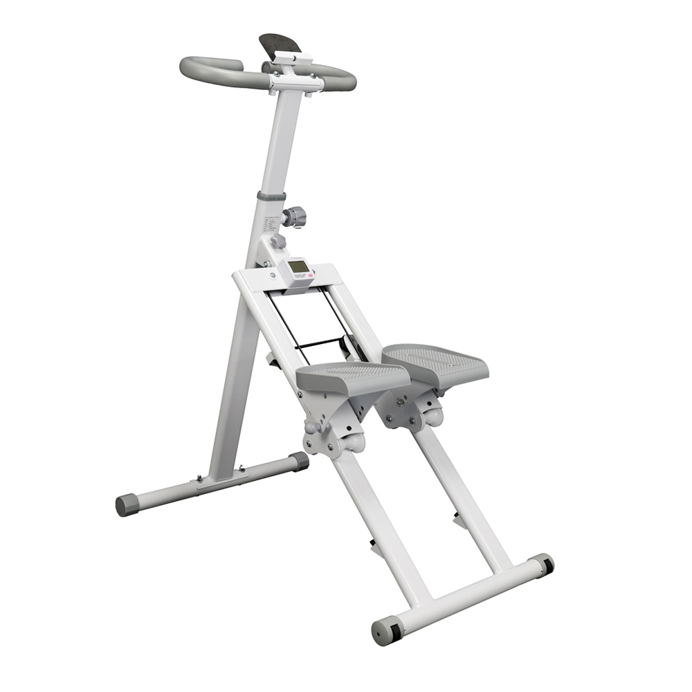 바디조이 스텝 클라이머