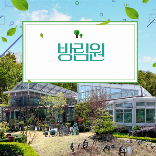 ㅤ방림원 입장권 (소인)_이미지