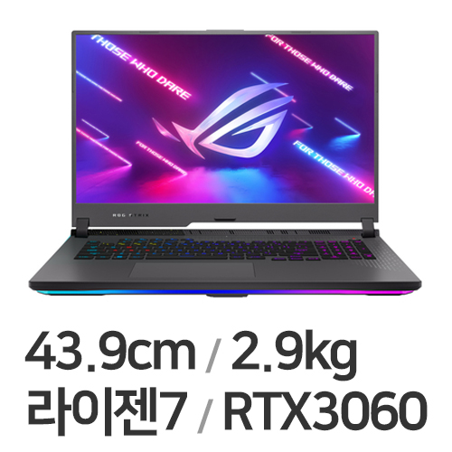 ASUS ROG STRIX G17 G713RM-LL121 (SSD 2TB)