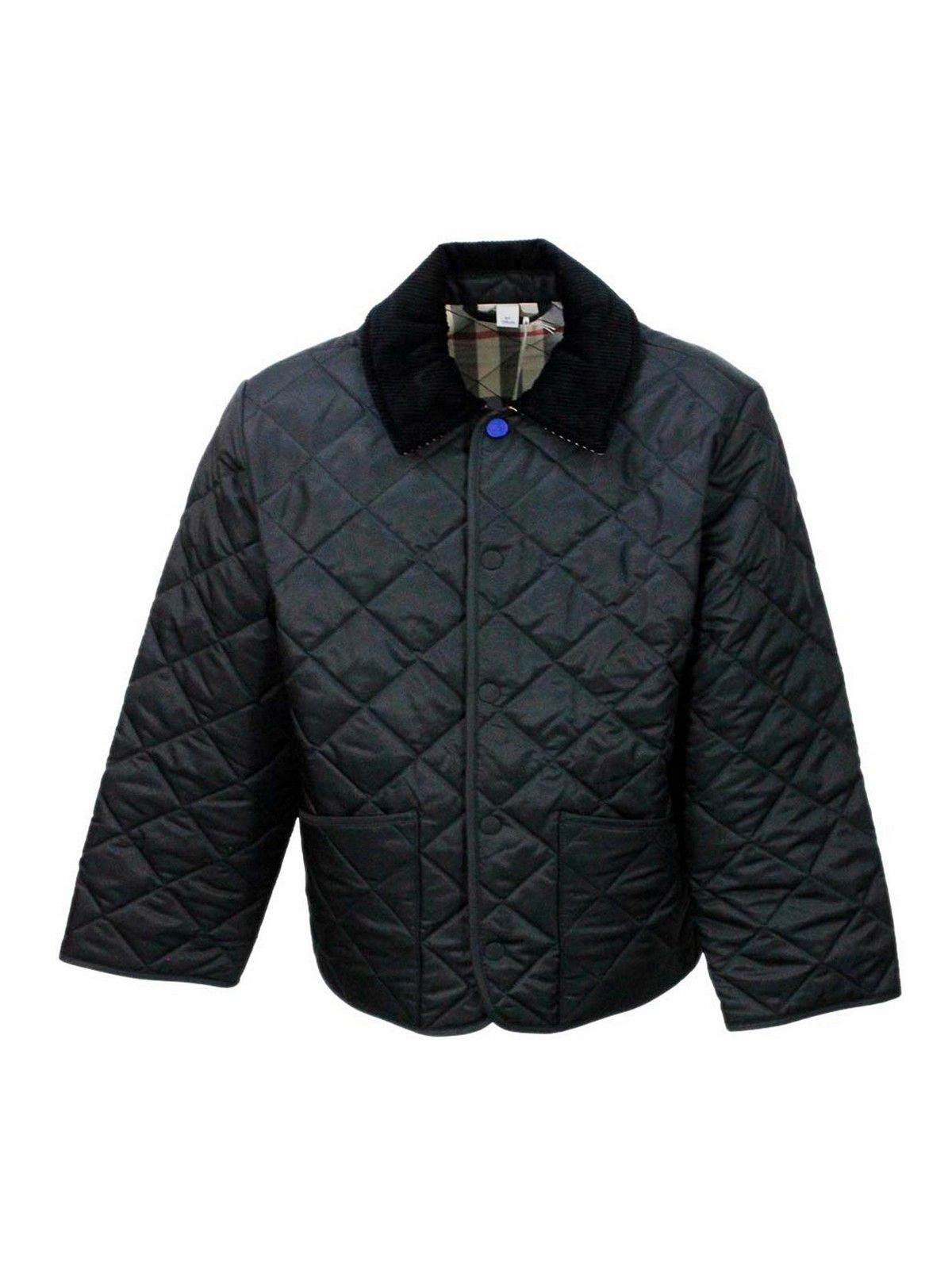 버버리 뷰티 Tech fabric 자켓 80925191007