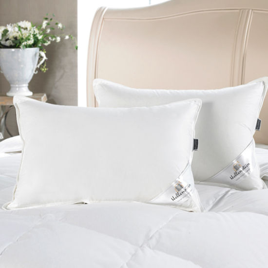 Basic 거위털 베개