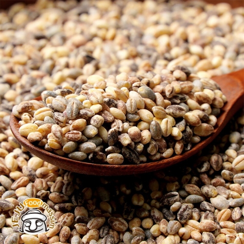 제주푸드마씸 담은제주 컬러보리 제주산 (500g,3봉)