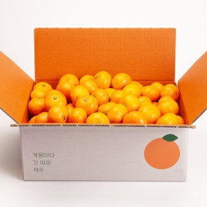 ������ ���� ���� 4.5kg �Ұ�/�ξ� 2S-M