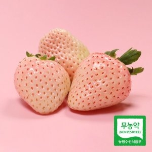 농부들의수확 무농약인증하얀 설화 딸기 1kg 특/30구_이미지