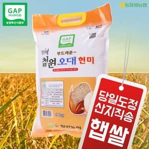 동철원농협 2020 부드러운 철원오대 현미 4kg [1개]