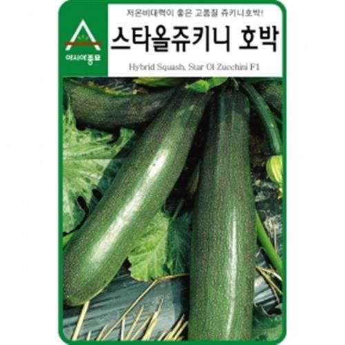 아시아종묘 주키니호박씨앗종자 스타올쥬키니 호박 600립