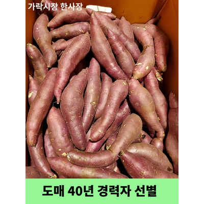 가락시장 한사장 못난이 고구마 밤고구마 도매 40년 경력자가 선별_이미지