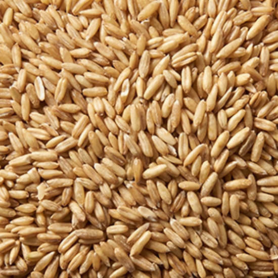 현대농산 캐나다산 귀리 2kg이미지입니다. 누르면 해당 게시물로 새창이동합니다.