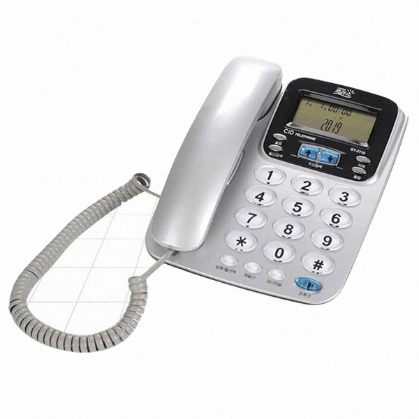 �ڷ��� DT-2110