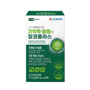 코오롱제약 징코 은행잎추출물 혈액순환제 진코민 뇌영양제