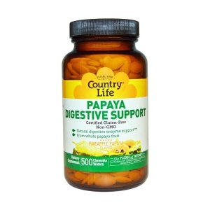 컨트리라이프 파파야 다이제스티브 츄어블 500정 (1개)_이미지