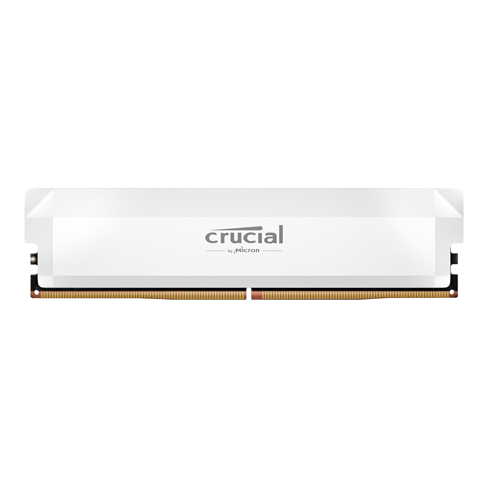 DDR5-6400 CL40 PRO OC Gaming Edition White 대원씨티에스