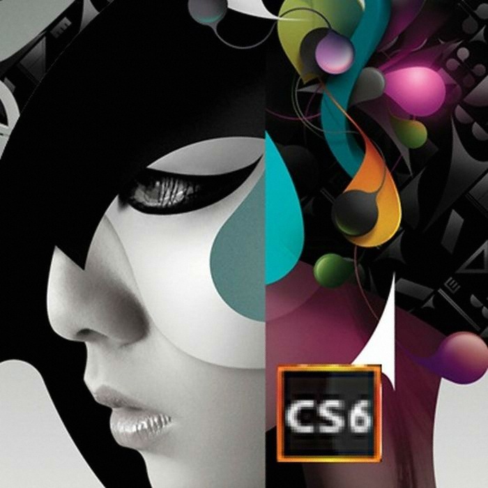 Adobe Creative Suite 6 Design Standard (업그레이드 한글 윈도우)_이미지