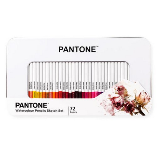 ���� ���� ������