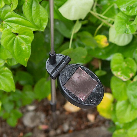 ����Ʈ�� COMS LED �¾籤 ���� ����캼 ������