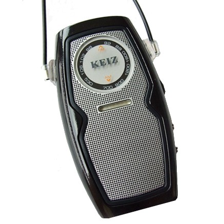 인텍로도스 KEIZ R-100_이미지