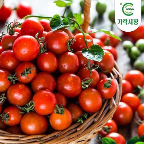 �µ��� �������� ��� ����丶��1box 5kg