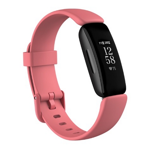 Google 핏빗 Inspire 2 (정품)