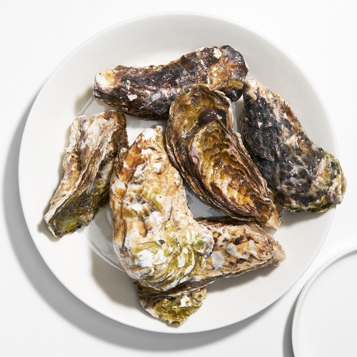 삼삼해물 거제도 프리미엄 개체굴 삼배체 생굴 석화 1kg 1개이미지입니다. 누르면 해당 게시물로 새창이동합니다.